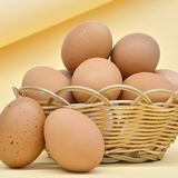 宇都宮市民は本当に卵を食べない？　購入額・量は全国ワースト　取材で浮かぶ“統計漏れ”　紐解く鍵は「黄身」の色