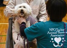 受刑者の心に癒やしを