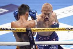 ３６歳井岡 ＫＯ勝ち