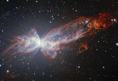 宇宙羽ばたく“巨大チョウ”