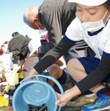地元の川にウグイ2000匹放流　芳賀南小３年生