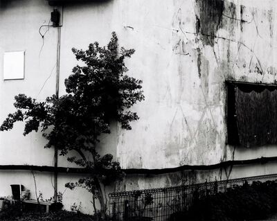 入選「佇む」古内正美（宇都宮）