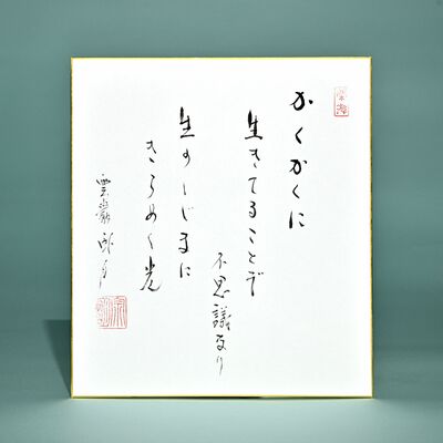 かくかくに生きてることぞ不思議なり生のしじまにきらめく光