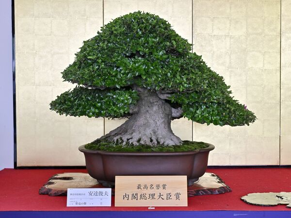 内閣総理大臣賞