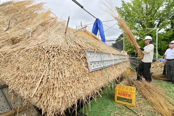 足利学校裏門で進む茅葺き屋根の葺き替え作業