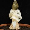 キヌガサタケ　栃木県立博物館・山本航平さん　ドレスまとう“女王”　県南の竹林に自生