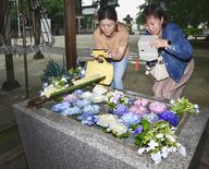 アジサイ花手水、鮮やかに　さくらの今宮神社