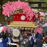 花家体繰り込み威勢よく　日光二荒山神社で弥生祭　「完全復活」観光追い風に