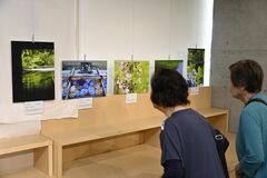 「日光」と「雨」再発見を／30日まで北山さん写真展
