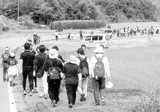 ウオーキングで秋の一日を満喫