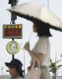 最も暑い夏、今年も
