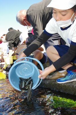 ウグイを野元川に放流する子どもたち