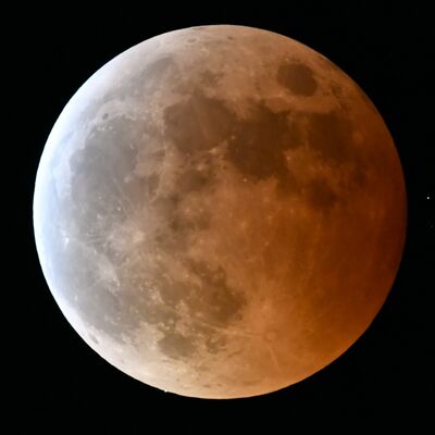 皆既食となり、赤銅色に染まる月。左下の青白い光は天王星＝８日午後８時15分、下野新聞社本社屋上（超望遠レンズ使用）