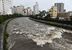 大雨で濁流となった田川＝24日午後２時55分、宇都宮市駅前通り１丁目