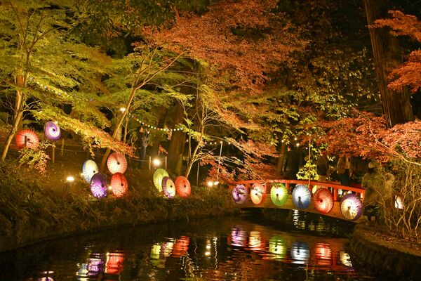和傘とともに幻想的にライトアップされる紅葉＝22日午後５時15分、小山市間々田、広瀬華撮影