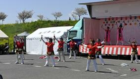 思川桜めでつつ住民交流