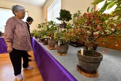 山野草や盆栽 丹精した１２０点