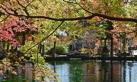 出流原弁天池の紅葉