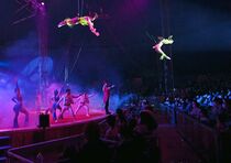 ポップサーカス開幕