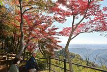 太平山の謙信平で紅葉見頃