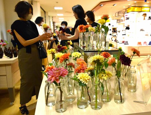 好みのダリアを選ぶ来店客ら＝７日午前、東武宇都宮百貨店宇都宮本店