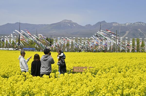 一面に咲く菜の花に囲まれながら、風にそよぐこいのぼりを背に写真を撮る家族＝28日午前10時30分、那須町大島