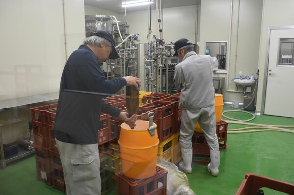 瓶で熟成させた酒を詰め替えるため、タンクに空ける蔵人＝５月、渡邉酒造