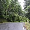 台風６号は栃木県から遠ざかる、警報級大雨の可能性は低く　土砂災害や強風に引き続き注意を