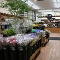 カンセキ西川田店、13日リニューアルオープン　生花売り場を３倍に拡大