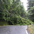 台風６号は栃木県から遠ざかる、警報級大雨の可能性は低く　土砂災害や強風に引き続き注意を