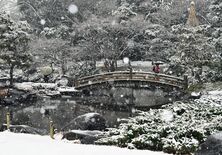 栃木県北部、夜遅くまで大雪に注意　警報拡大の可能性も