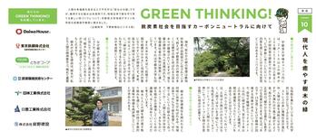 現代人を癒す樹木の緑