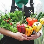 「鹿沼のにら」野菜ソムリエ品評会で銀賞　「食欲をそそる香り」評価