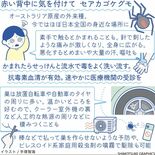 セアカゴケグモ かまれると痛み全身に タイヤ周りなどに巣【白鷗大・岡田…