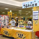 東武宇都宮百貨店で６日まで「うるま物産展」　もずくや豚皮チップス、泡盛…