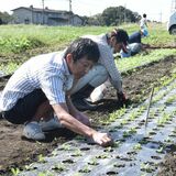 農業の担い手確保、効果実感　那須塩原の「チャレンジファーマー制度」　本格スタートから３年目