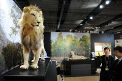 猫の魅力伝える企画展