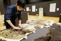 触って見て聴くアイヌ文化