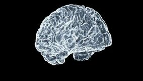 最先端材料科学研究:パーキンソン病に関連したタンパク質の凝集阻止の可能性