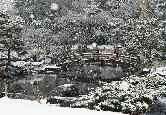 真っ白に雪化粧した県中央公園＝10日午後０時25分、宇都宮市睦町