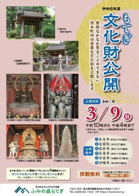 もてぎ文化財公開のチラシ