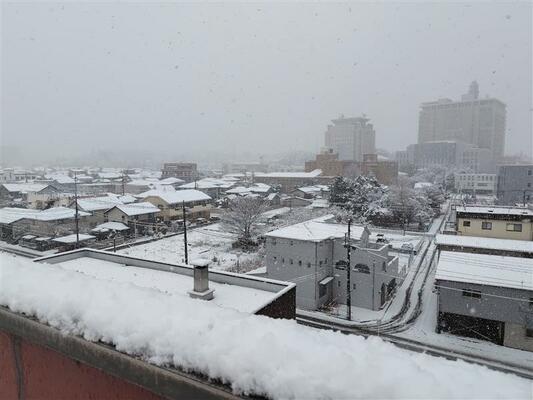 大雪警報が発表された宇都宮市内＝10日午前9時15分、宇都宮市昭和１丁目