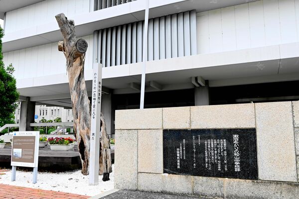 ＮＴＴ西日本四国支店敷地にある記念碑とユーカリ＝６月６日午後、松山市一番町４丁目