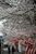 見頃を迎えた新川の桜並木＝９日午後、宇都宮市