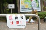 宇都宮市中心部をクマが縦断「ものすごく腕太く、速かった」　7日最後の目撃は姿川中学校の付近
