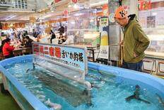 休漁のスルメイカ漁、再開要望