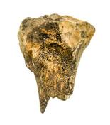 平安時代の僧侶はシカ肉好き？