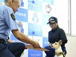 「タフなコンディション」で大活躍　高齢男性を保護した小型警察犬と訓練士…