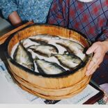 上河内の伝統料理「アユのくされずし」など29件認定、文化庁「100年フ…