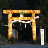 行灯大鳥居、今年は金色に輝く　下野・星宮神社　「明るい年になってほしい」